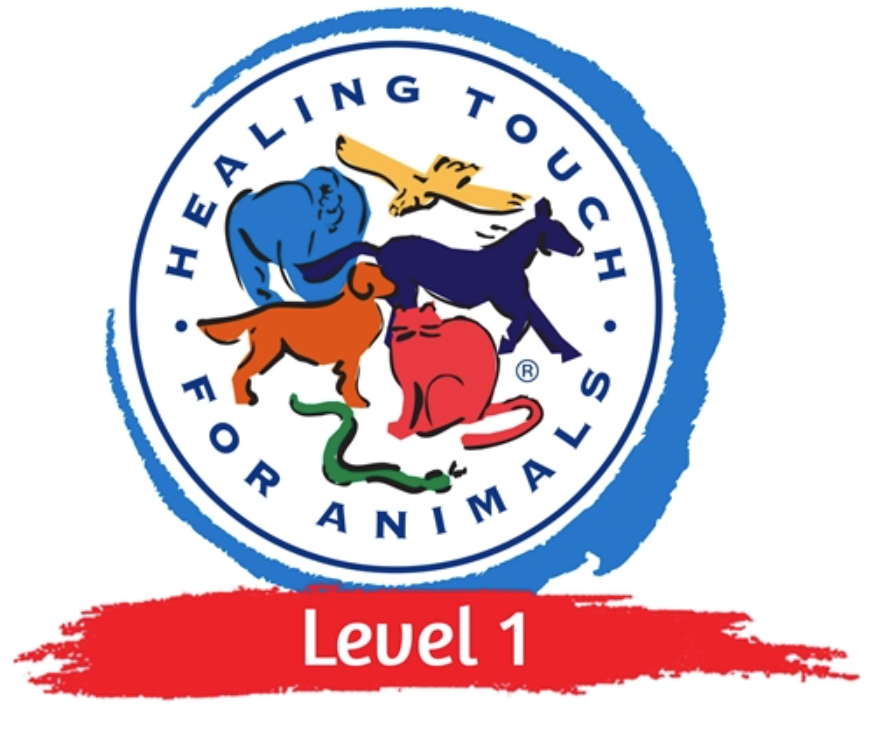 Logo HTA Level 1 Kurs
