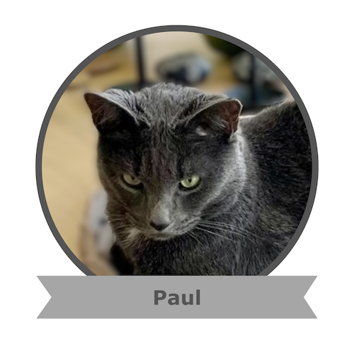 Paul Foto